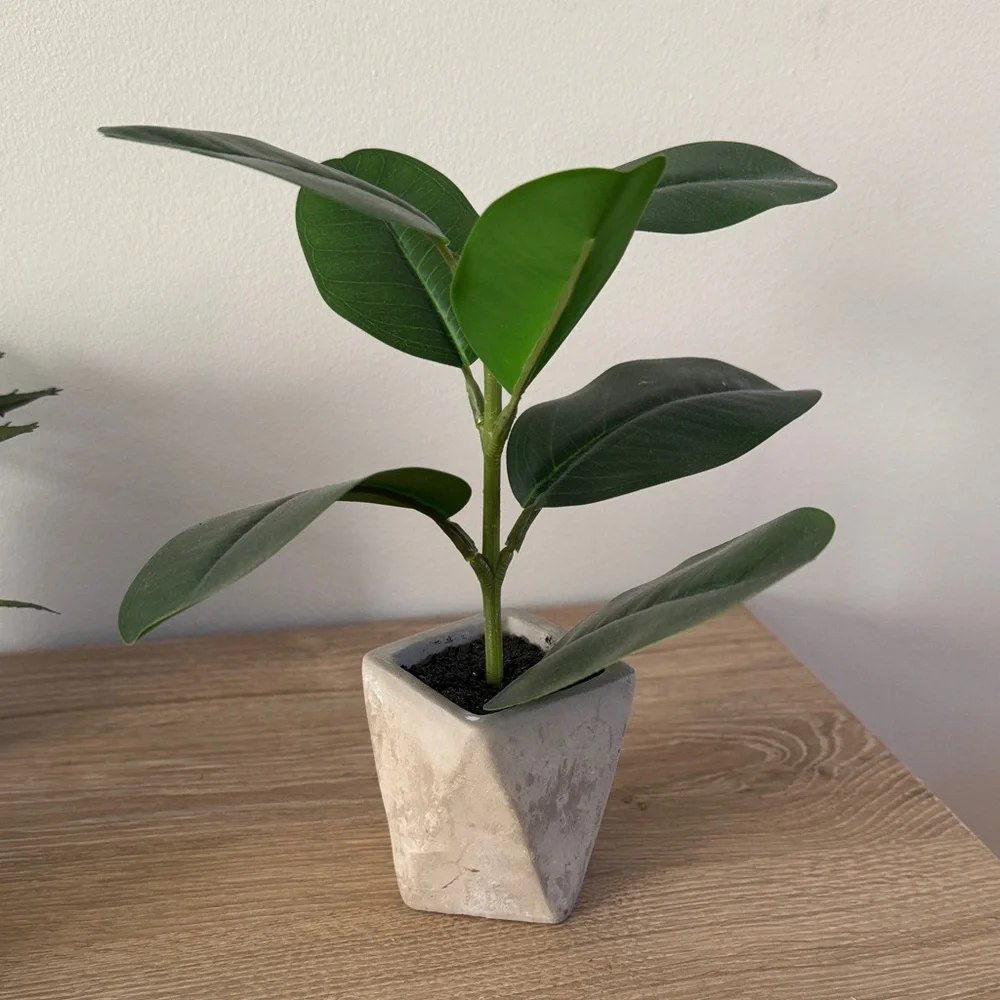 Target Project 62 Faux Plants (set 3)